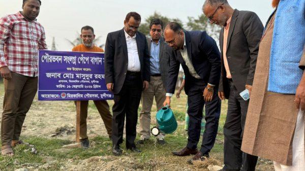 ৫৪০টি পেঁপে গাছের চারা রোপন