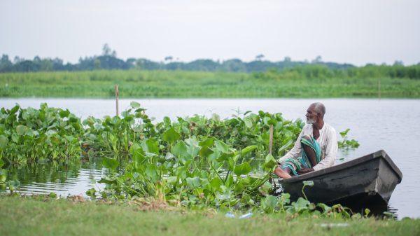 ইছামতি নদীর বুকে একলা নৌকা আকাশের নীল আলো আর নদীর ঢেউয়ে ভেসে চলা নৌকা — প্রকৃতি ও মানবজীবনের নিবিড় সংলাপ। ছবি: মাসুদ রানা