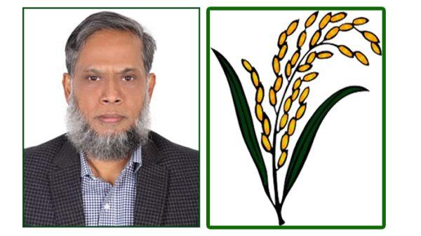 ৫৪ বছরের প্রতীক্ষার অবসান: গজারিয়া এখন নতুন আশার জনপদ