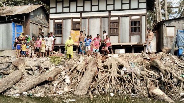 ৫০ বছরের পুরনো প্রায় অর্ধশত গাছ বিক্রির অভিযোগ স্কুল শিক্ষকের বিরুদ্ধে
