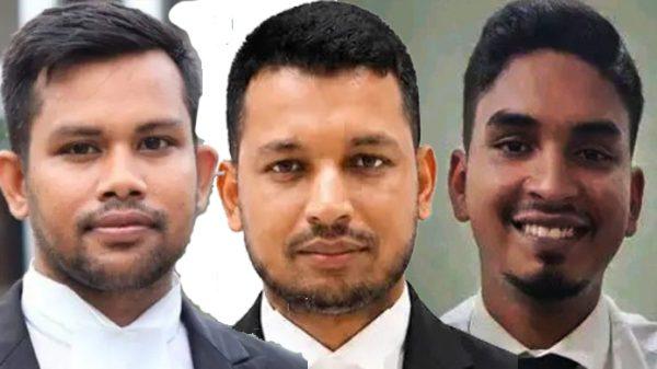 জবি আইনজীবী সমিতির নেতৃত্বে তরিকুল-পলাশ